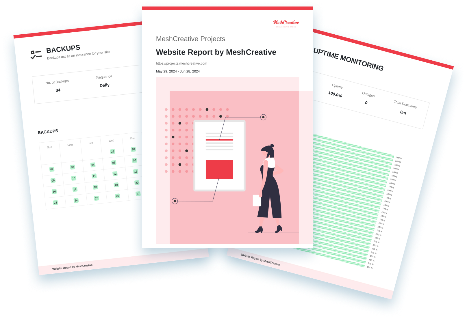 Website reports by MeshCreative