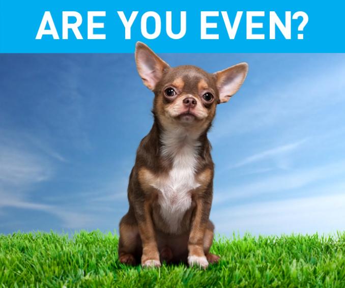 TMWA social ad - Are you even? Watering schedule