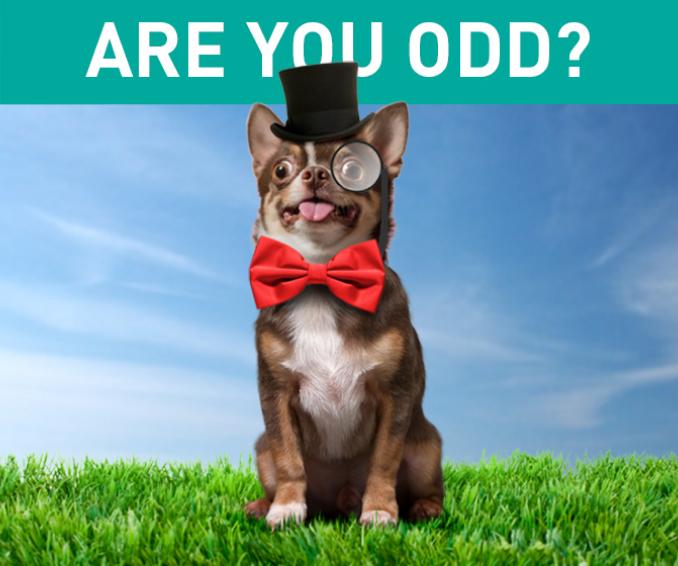 TMWA social ad - Are you odd? Watering schedule
