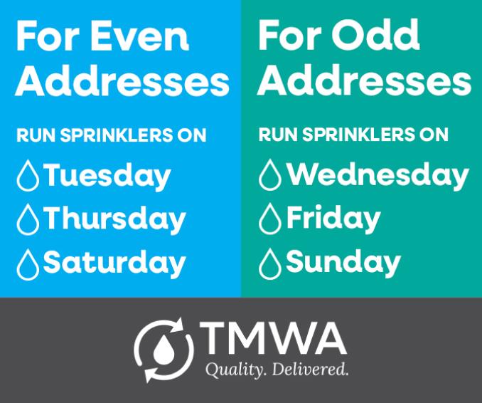 TMWA social ad - Even vs odd watering schedule